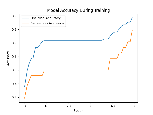 machine learning fundamentals nural network example model accuracy.