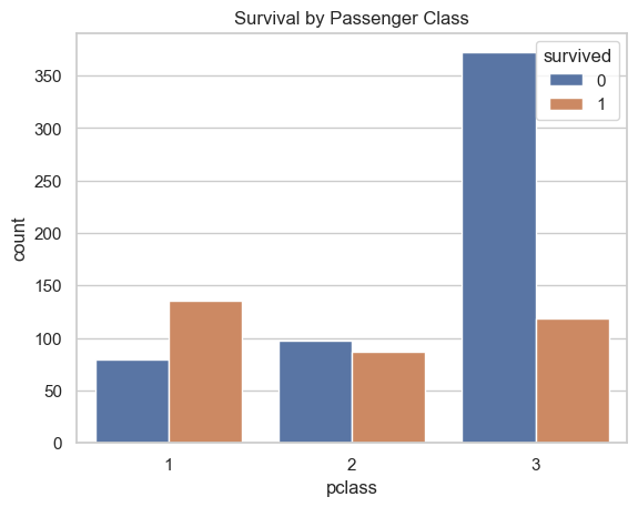 class survival rate
